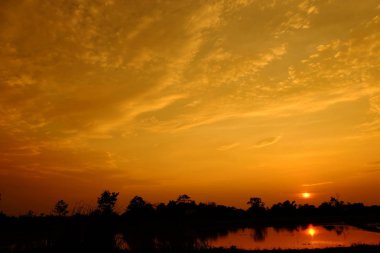 Alanın ortasında güzel altın gökyüzü günbatımı.