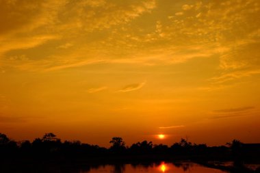 Alanın ortasında güzel altın gökyüzü günbatımı.