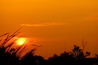 Alanın ortasında güzel altın gökyüzü günbatımı.