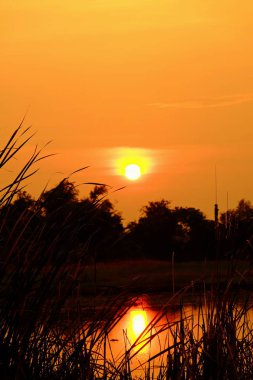 Alanın ortasında güzel altın gökyüzü günbatımı.