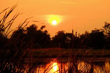 Alanın ortasında güzel altın gökyüzü günbatımı.