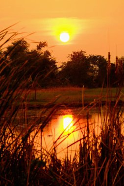 Alanın ortasında güzel altın gökyüzü günbatımı.