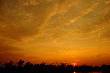 Alanın ortasında güzel altın gökyüzü günbatımı.