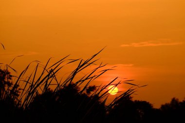 Alanın ortasında güzel altın gökyüzü günbatımı.
