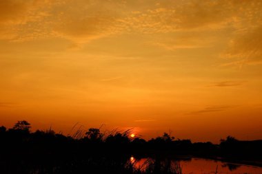 Alanın ortasında güzel altın gökyüzü günbatımı.