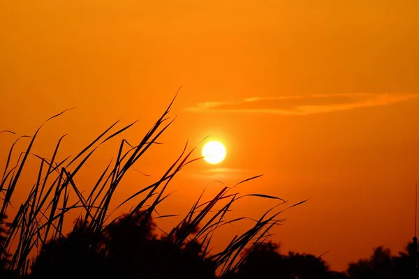 Cielo Colorido Atardecer Sunrise Lado Del Campo Nubes Naranjas Reflejan — Foto de Stock