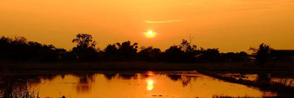 Puesta Sol Con Hermoso Cielo Dorado Medio Del Campo —  Fotos de Stock