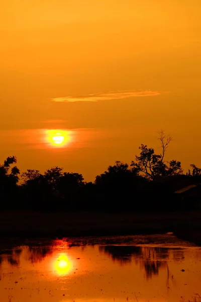 Pôr Sol Com Belo Céu Dourado Meio Campo — Fotografia de Stock