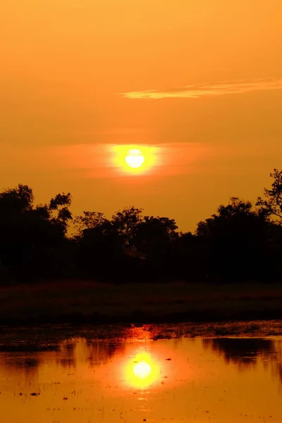 Sunset Beautiful Golden Sky Middle Field — Stock Photo, Image