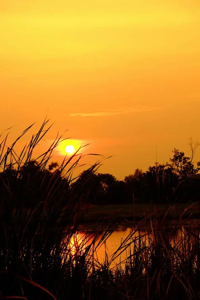 Закат Красивым Золотым Небом Центре Поля — стоковое фото