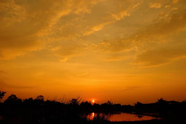 フィールドの真ん中に美しい青空と夕焼け — ストック写真