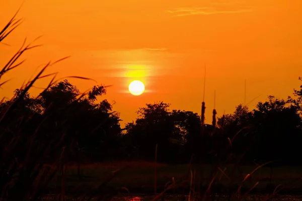 Sunset Beautiful Golden Sky Middle Field — Stock Photo, Image