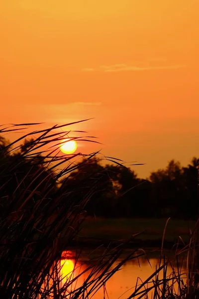 Pôr Sol Com Belo Céu Dourado Meio Campo — Fotografia de Stock