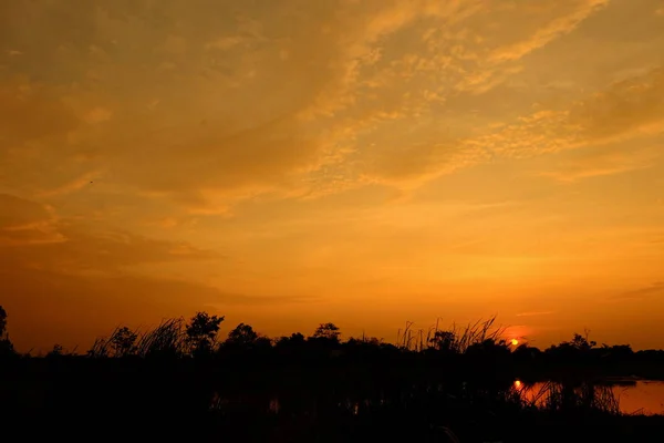 フィールドの真ん中に美しい青空と夕焼け — ストック写真