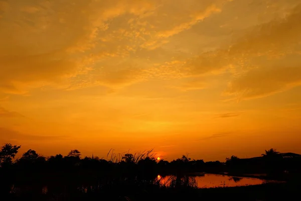 Západ Slunce Krásné Zlaté Obloha Uprostřed Pole — Stock fotografie