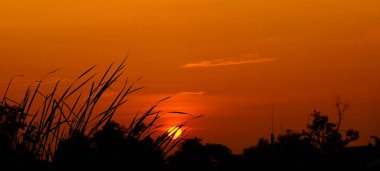 Alanın ortasında güzel altın gökyüzü günbatımı.