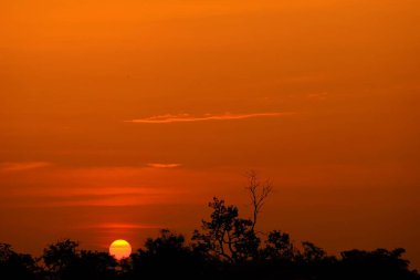 Alanın ortasında güzel altın gökyüzü günbatımı.