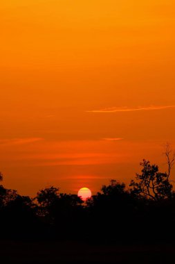 Alanın ortasında güzel altın gökyüzü günbatımı.