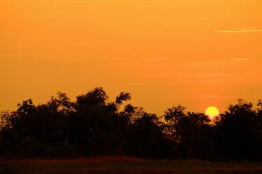 Güzel bulutlu gökyüzü günbatımı. Denizde güzel bulutlu gün batımı.
