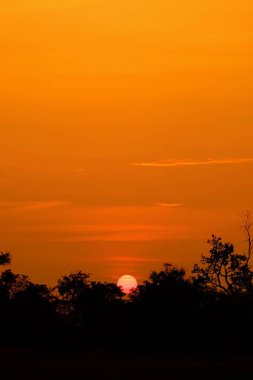 Güzel bulutlu gökyüzü günbatımı. Denizde güzel bulutlu gün batımı.