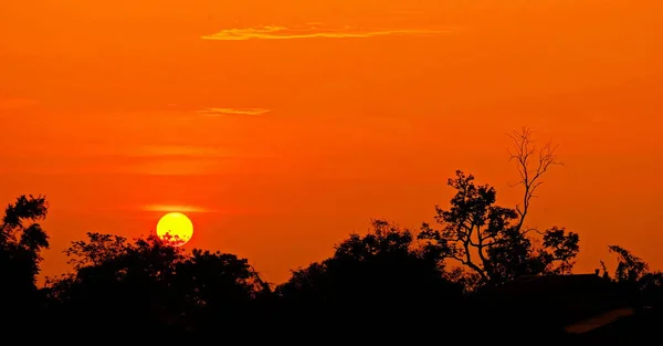 Puesta Sol Con Hermoso Cielo Dorado Medio Del Campo —  Fotos de Stock