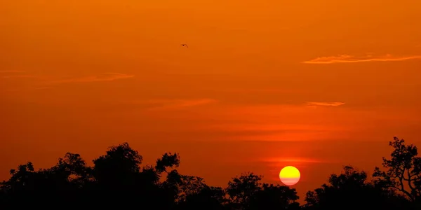 Sonnenuntergang Mit Schönem Goldenem Himmel Mitten Auf Dem Feld — Stockfoto