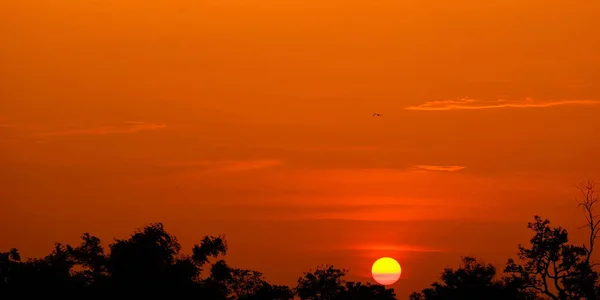 Puesta Sol Con Hermoso Cielo Dorado Medio Del Campo — Foto de Stock