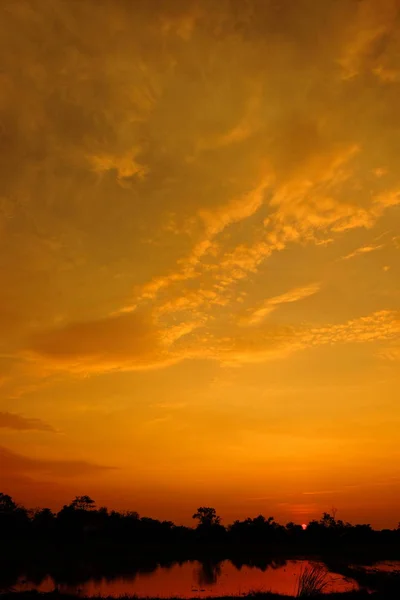 Apus Soare Cer Auriu Frumos Mijlocul Câmpului — Fotografie, imagine de stoc