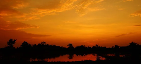 Puesta Sol Con Hermoso Cielo Dorado Medio Del Campo —  Fotos de Stock