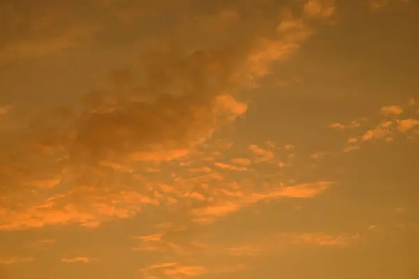 Zonsondergang Met Mooie Gouden Hemel Het Midden Van Het Veld — Stockfoto