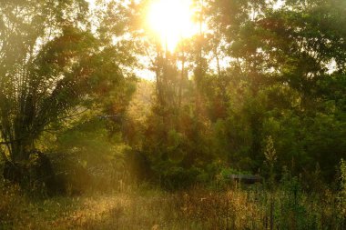 Lake görünümü orada güzel bulutlu bir gökyüzü ise yeşil dağların ağaçları ile.
