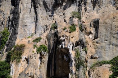 Lake görünümü orada güzel bulutlu bir gökyüzü ise yeşil dağların ağaçları ile.