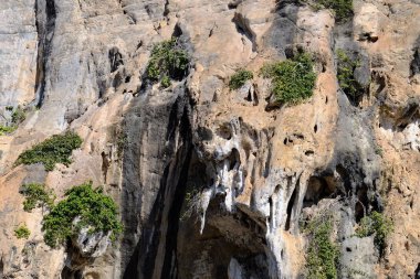 Lake görünümü orada güzel bulutlu bir gökyüzü ise yeşil dağların ağaçları ile.