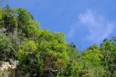 Lake görünümü orada güzel bulutlu bir gökyüzü ise yeşil dağların ağaçları ile.