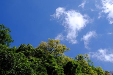 Lake görünümü orada güzel bulutlu bir gökyüzü ise yeşil dağların ağaçları ile.