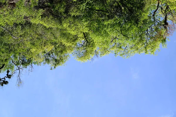 Vista Lago Hay Cielo Con Hermosas Nubes Montañas Verdes Con — Foto de Stock