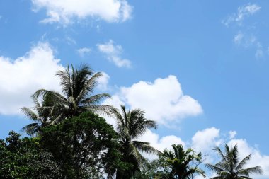 Lake görünümü orada güzel bulutlu bir gökyüzü ise yeşil dağların ağaçları ile.