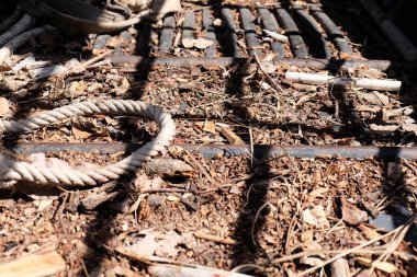 Lake görünümü orada güzel bulutlu bir gökyüzü ise yeşil dağların ağaçları ile.
