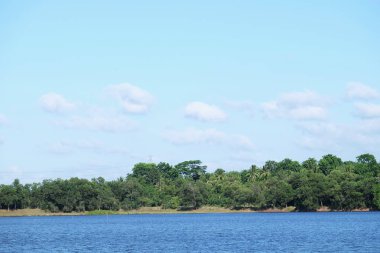 Göl Manzaralı orada ağaçlarıyla güzel bulutlar ve Yeşil dağlar vardır.