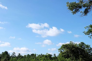 Lake görünümü orada güzel bulutlu bir gökyüzü ise yeşil dağların ağaçları ile.