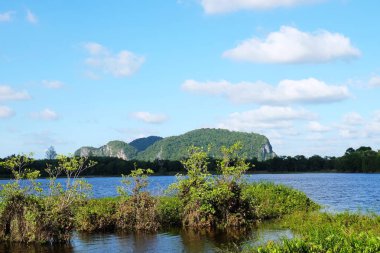 Lake görünümü orada güzel bulutlu bir gökyüzü ise yeşil dağların ağaçları ile.