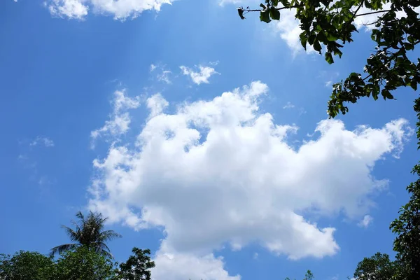 Вид Озеро Небо Красивыми Облаками Зеленые Горы Деревьями — стоковое фото
