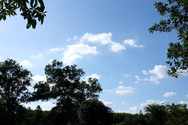 Вид Озеро Небо Красивими Хмарами Зеленими Горами Деревами — стокове фото