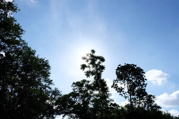 Вид Озеро Небо Красивыми Облаками Зеленые Горы Деревьями — стоковое фото