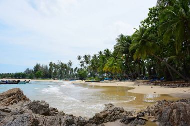 Güzel bir plaj, temiz su, güzel plajları ve dalgalar. Güneşli bir günde