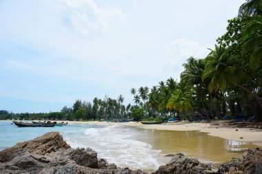 Güzel bir plaj, temiz su, güzel plajları ve dalgalar. Güneşli bir günde