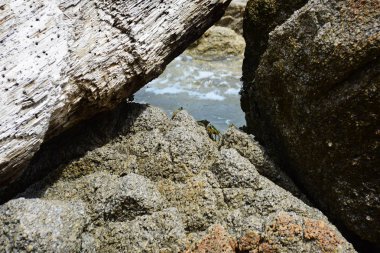 Güzel bir plaj, beyaz dalgalar, kayalar ve balıkçı tekneleri, esinti, güneş parlak gün ışığında beyaz kum plaj. Güzel bir plaj, temiz su, güzel plajları ve dalgalar. Güneşli bir günde