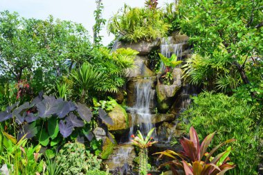 Bahçe güzel ve küçük bir şelale havuzları ile. Birçok güzel bitki.