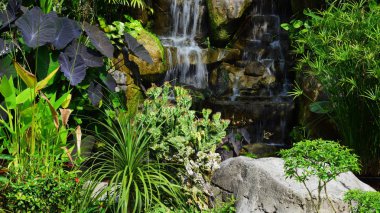 Bahçe güzel ve küçük bir şelale havuzları ile. Birçok güzel bitki.