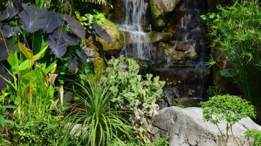Bahçe güzel ve küçük bir şelale havuzları ile. Birçok güzel bitki.